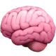 emoji brain