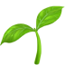 emoji plant