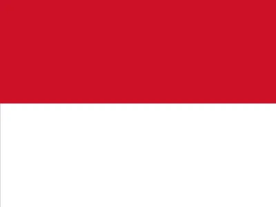 indonesia flag